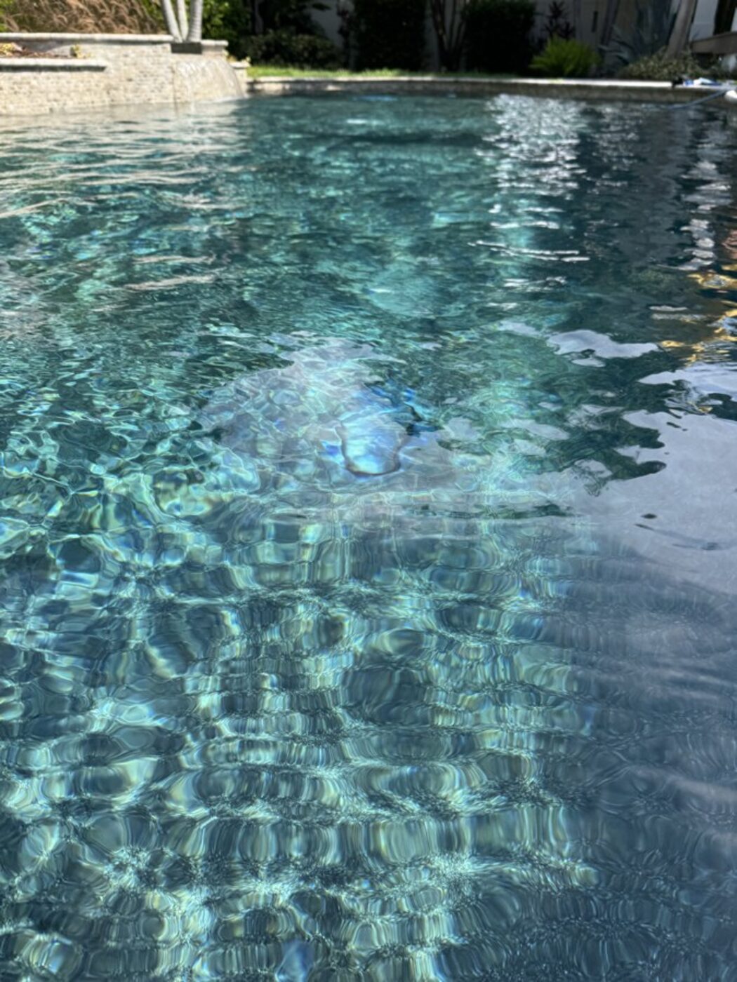 Waterfront luxury pool service, Tampa Bay